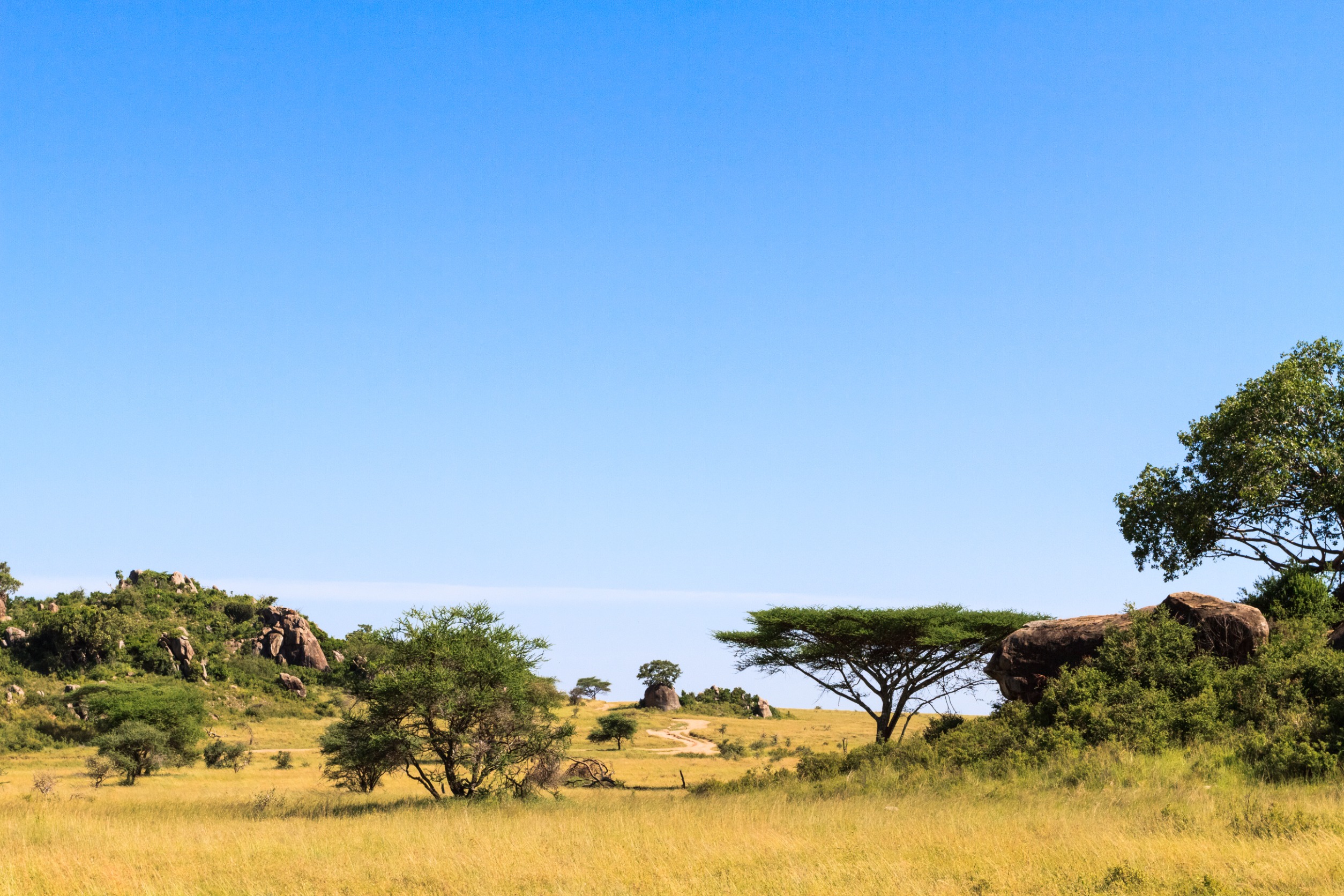 tanzanie
